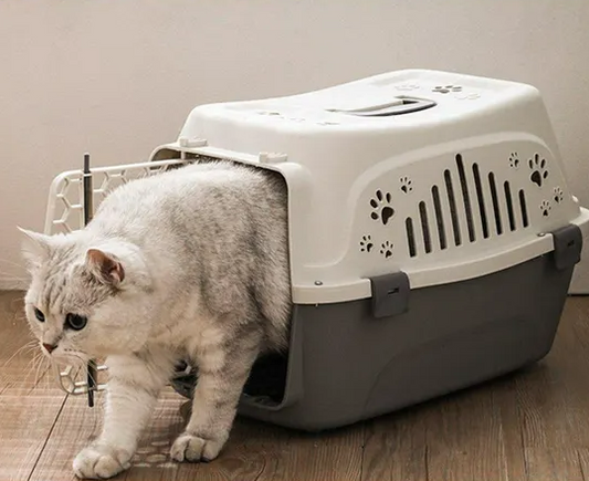 Portable Hard-sided Pet Travel Carrier