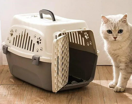 Portable Hard-sided Pet Travel Carrier