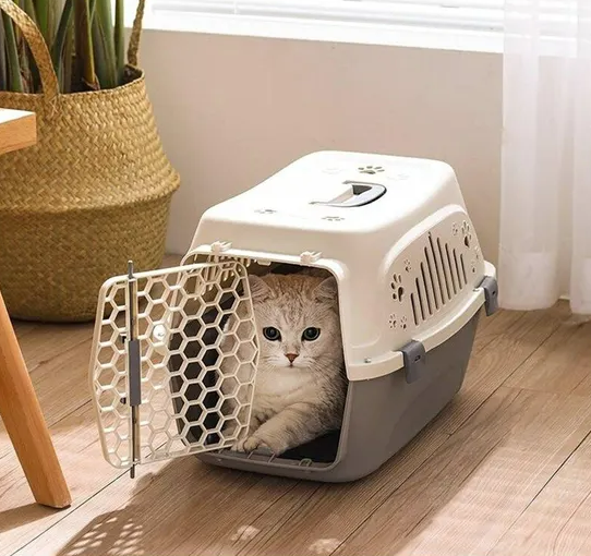 Portable Hard-sided Pet Travel Carrier